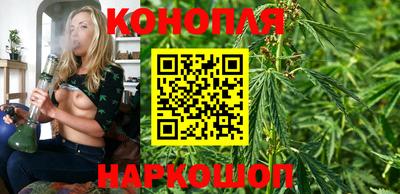 a pvp Краснодар