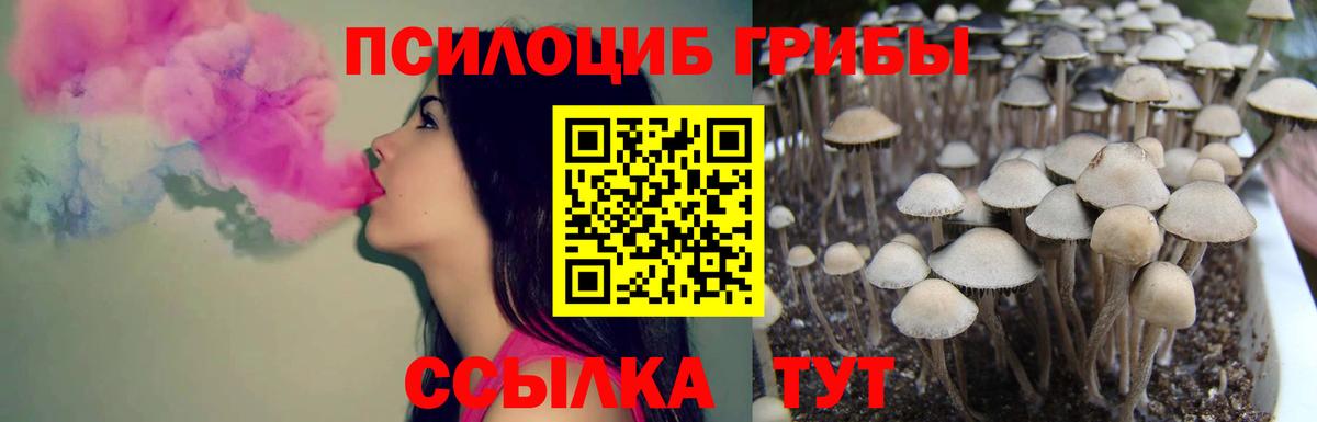 Псилоцибиновые грибы GOLDEN TEACHER  Вход с VPN  Унеча 